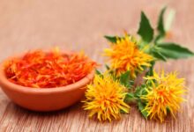 فوائد العصفر في الطب النبوي