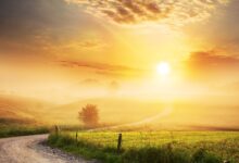 اذكار الصباح مكتوبة بخط كبير