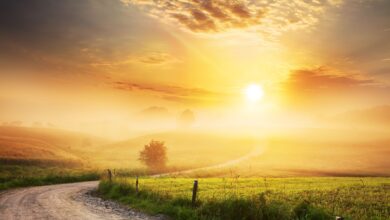 اذكار الصباح مكتوبة بخط كبير