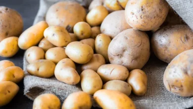 الفرق بين بطاطس القلي والطبخ