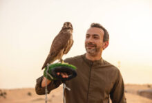 هل البومة تؤذي الانسان