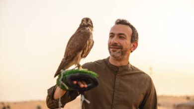 هل البومة تؤذي الانسان