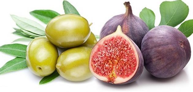 أهم النباتات التى تم ذكرت فى القرآن الكريم