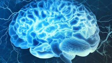 افضل دكتور مخ واعصاب في مصر