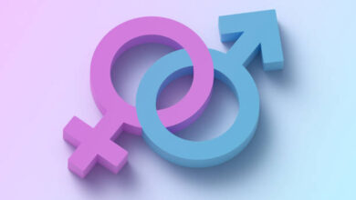 الجدول الصيني للحمل