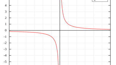 العدد الذي ليس له معكوس ضربي