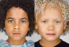 الفرق بين الملامح الحادة والناعمه