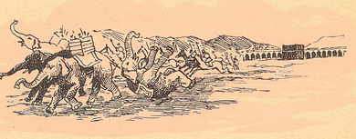 حيوان رفض امر صاحبه خوفا من الله