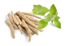 طريقة استعمال عشبة الاشواجندا