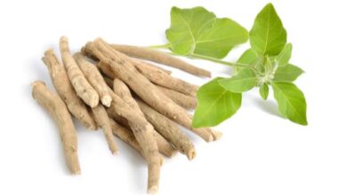 طريقة استعمال عشبة الاشواجندا