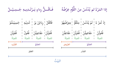 علم موازين الشعر