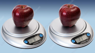 كم يبلغ وزن التفاح بالجرام