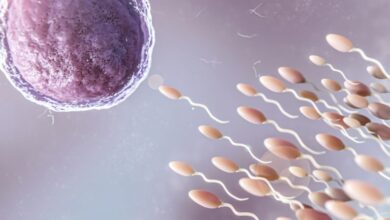 متى يبدأ التبويض بعد تكنوفيولا