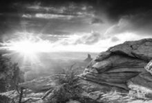 من علامات الساعة من ٦ حروف