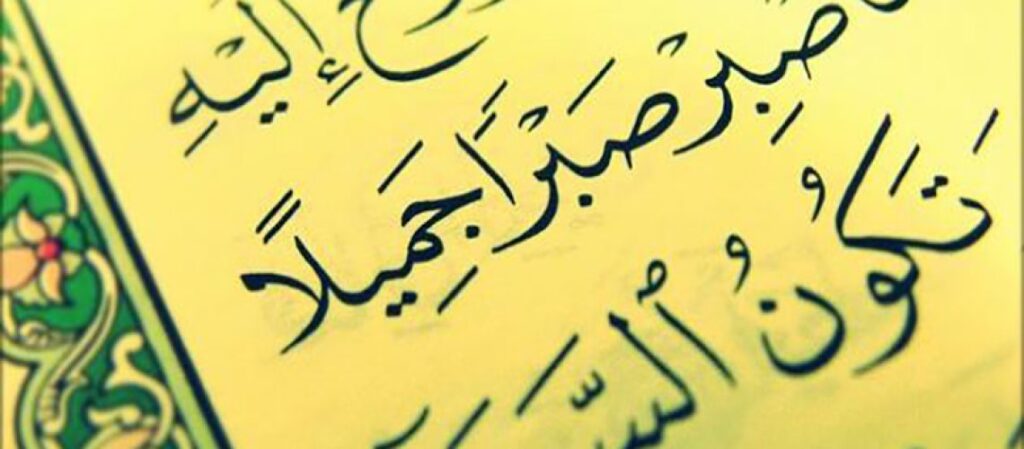 أهمية النجاح في الحياة