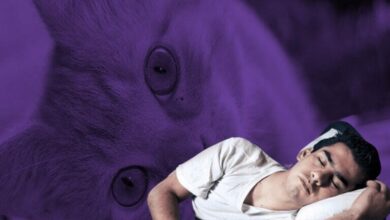 اللون البنفسجي في المنام