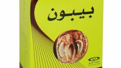 تجربتي مع بيبون بلس