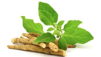 تجربتي مع عشبة الاشواجندا