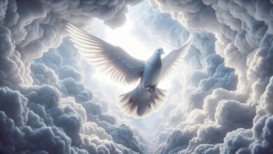 رؤية الحمام في المنام للرجل المتزوج