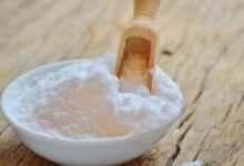 سبب شهرة الحنة البيضاء وفوائدها