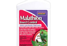 طريقة استخدام ملاثيون