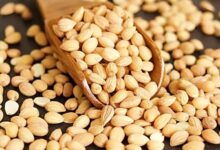 فوائد المحلب للشعر