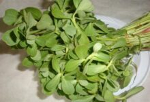 ما هي الرجلة وفوائدها