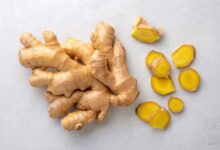 نبته عشبيه ذكرت في القران الكريم لها فوائد عديده