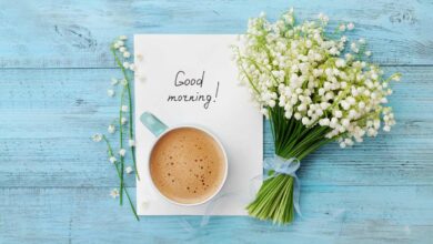 اجمل عبارات صباح الخير