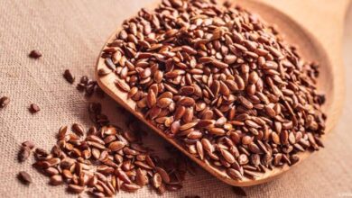 اضرار حب الرشاد والاثار الجانبية