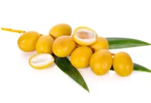 السعرات الحرارية في البلح البرحي