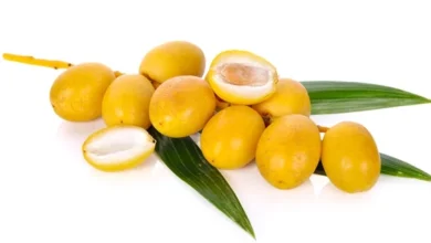 السعرات الحرارية في البلح البرحي