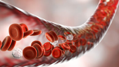 المكون الذي يعطي الدم لونه الاحمر