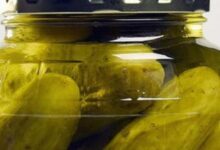 تخليل الخيار