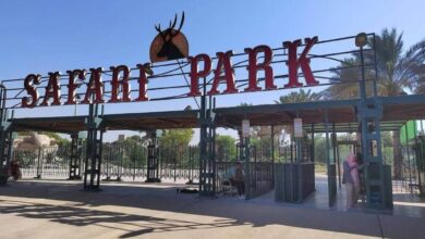 سعر تذكرة سفاري بارك