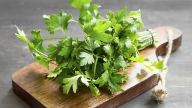 فوائد البقدونس للصحة الجنسية