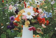 اجمل ورد طبيعي في العالم