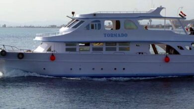 اسعار حجز عبارات سفاجا ضبا