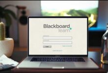 البلاك بورد الحدود الشمالية