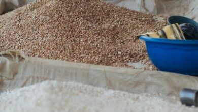 سعر طن الارز الشعير اليوم