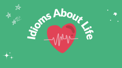 عبارات جميلة عن الحياة