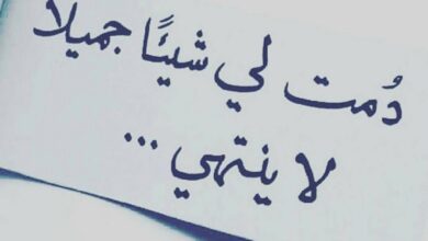 عبارات عن الحب قصيرة