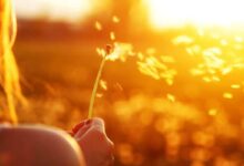 كلمات عن الحياة