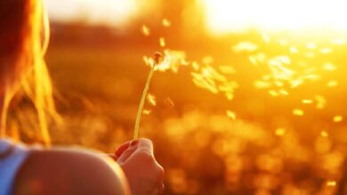 كلمات عن الحياة