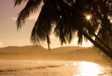 اسم مؤنث معناه النخله الصغيره من اربع حروف