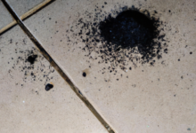 اعراض السحر المرشوش