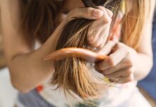 افضل بلسم للشعر الجاف