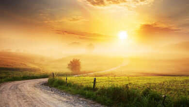 الدولة التي لا تغيب عنها الشمس