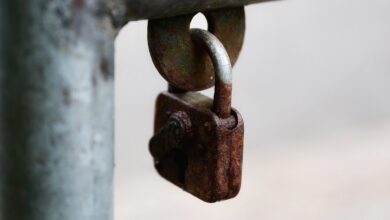 جماد بحرف القاف