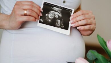 شكل كيس الجنين الذكر في الشهر الثاني